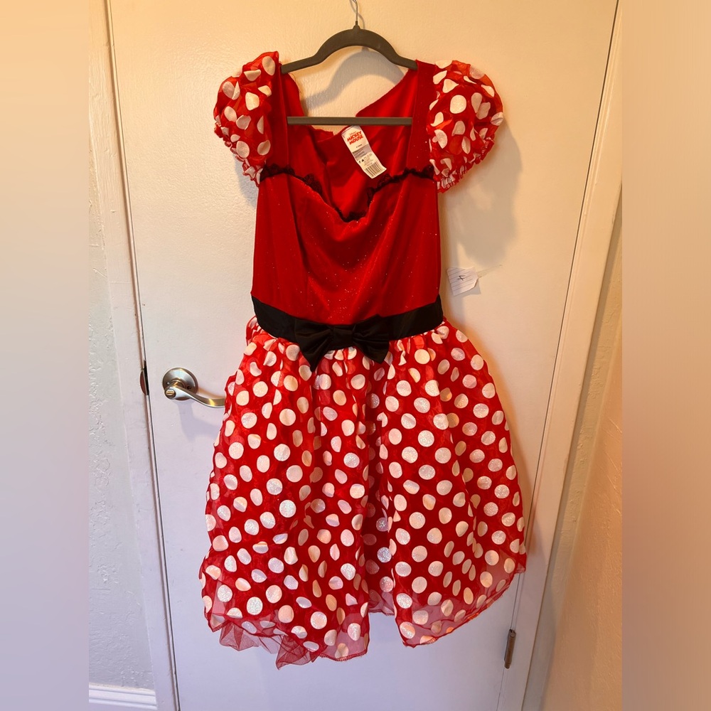 Adult mini mouse costume